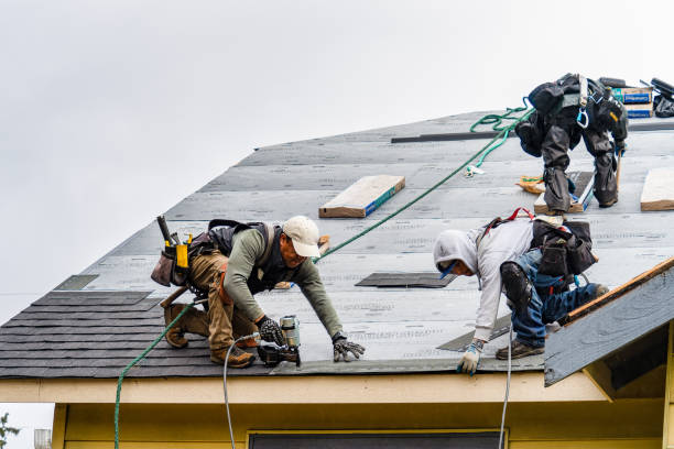 Professional Gutter Installation technician working in Hartwood, VA